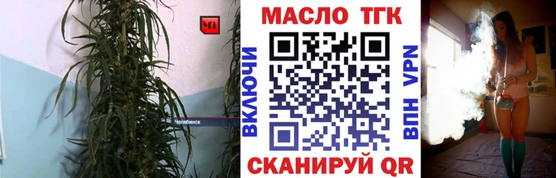 OMG онион  Иннополис  ТГК жижа  цены  